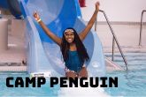 Camp Penguin